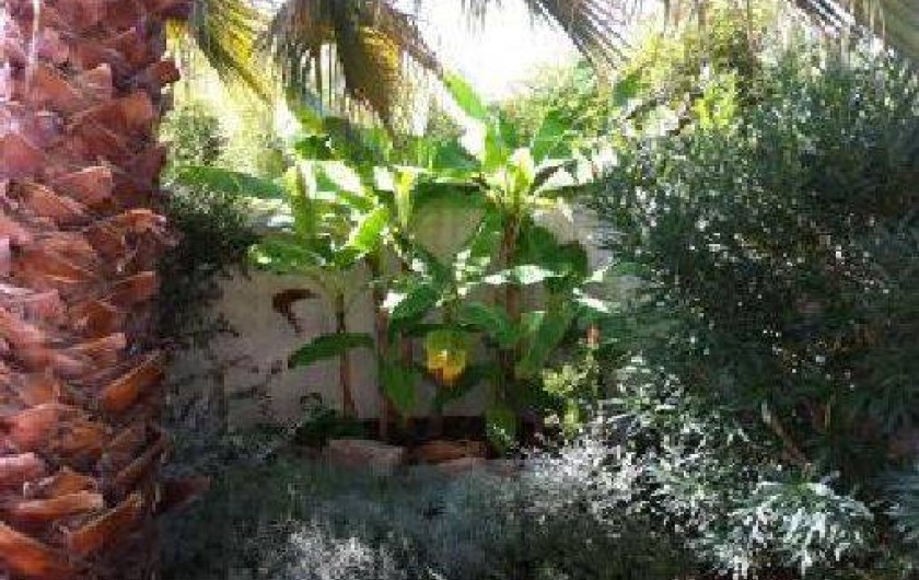 Location de vacances - Maison - Villa à Saturargues