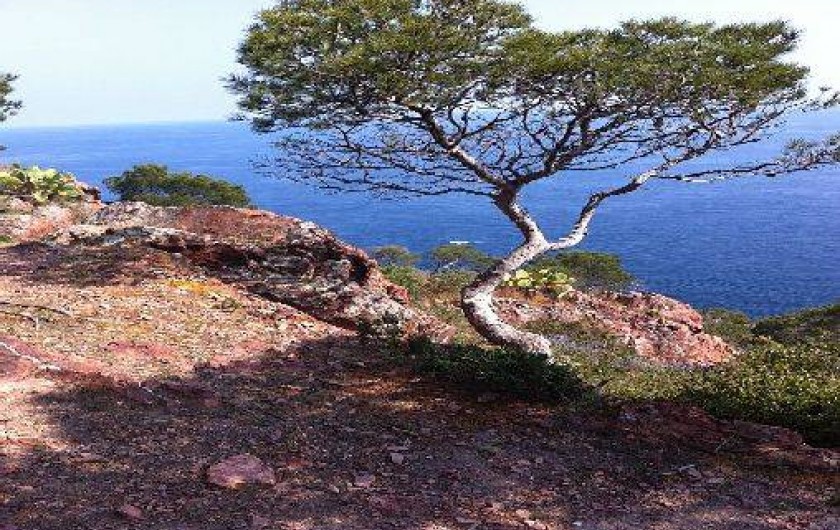 Location de vacances - Appartement à Saint-Raphaël