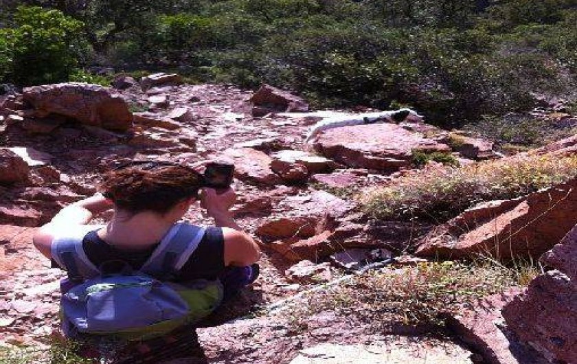 Location de vacances - Appartement à Saint-Raphaël