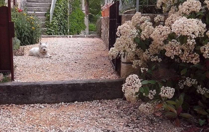 Location de vacances - Gîte à Tharaux - L' entrée privative du gîte
