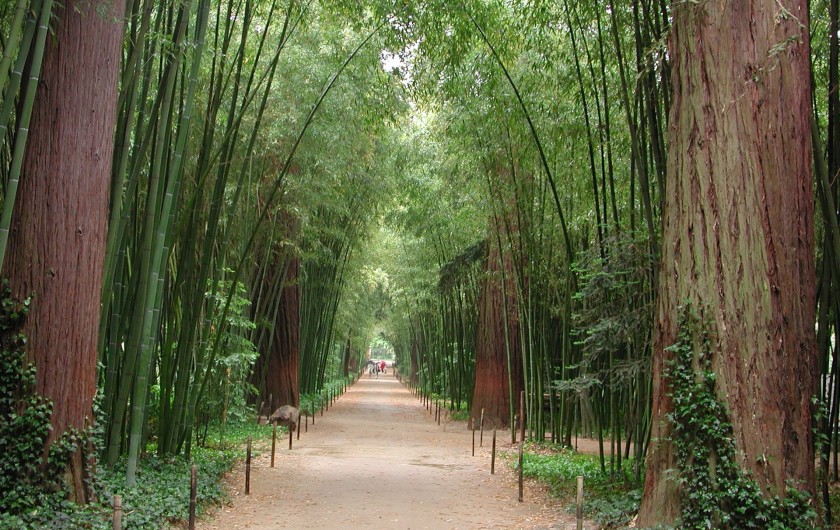 Visiter la Bambouseraie, lieu féerique à 30 kms de la Réboussière