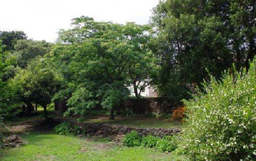 Location de vacances - Maison - Villa à Sisco