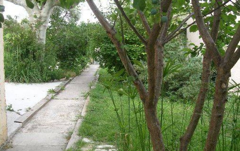 Location de vacances - Maison - Villa à Gignac-la-Nerthe