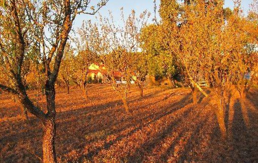 Location de vacances - Maison - Villa à Sainte-Colombe-de-la-Commanderie