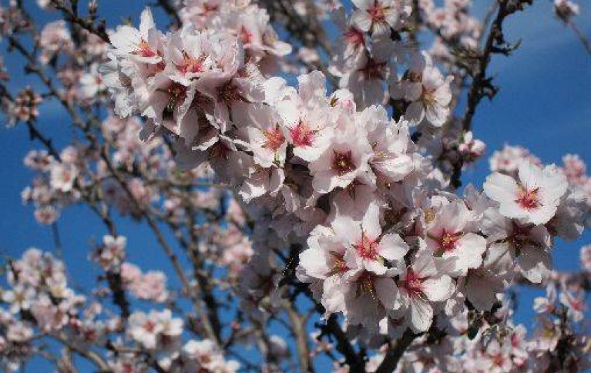 Location de vacances - Maison - Villa à Sainte-Colombe-de-la-Commanderie