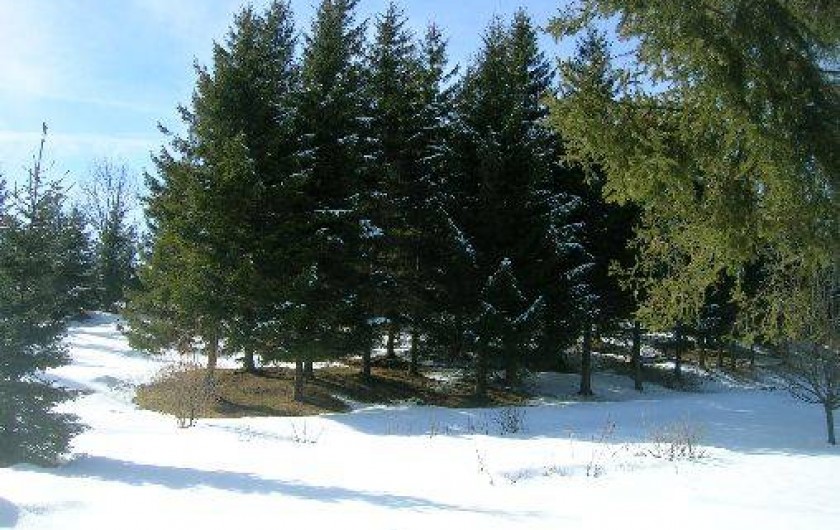 Location de vacances - Chalet à Foncine-le-Haut