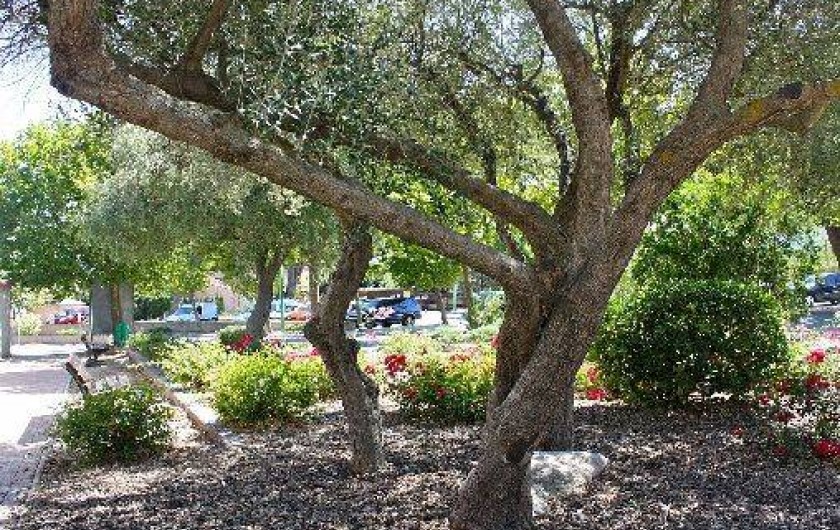 Location de vacances - Appartement à Le Plan-de-la-Tour