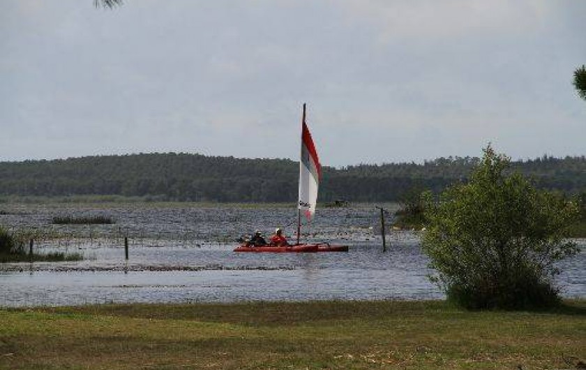 Location de vacances - Bungalow - Mobilhome à Hourtin