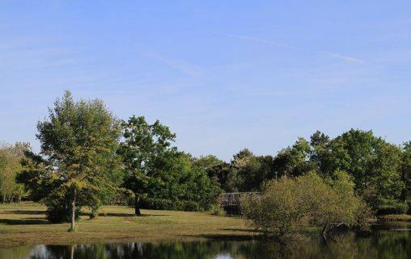 Location de vacances - Bungalow - Mobilhome à Hourtin