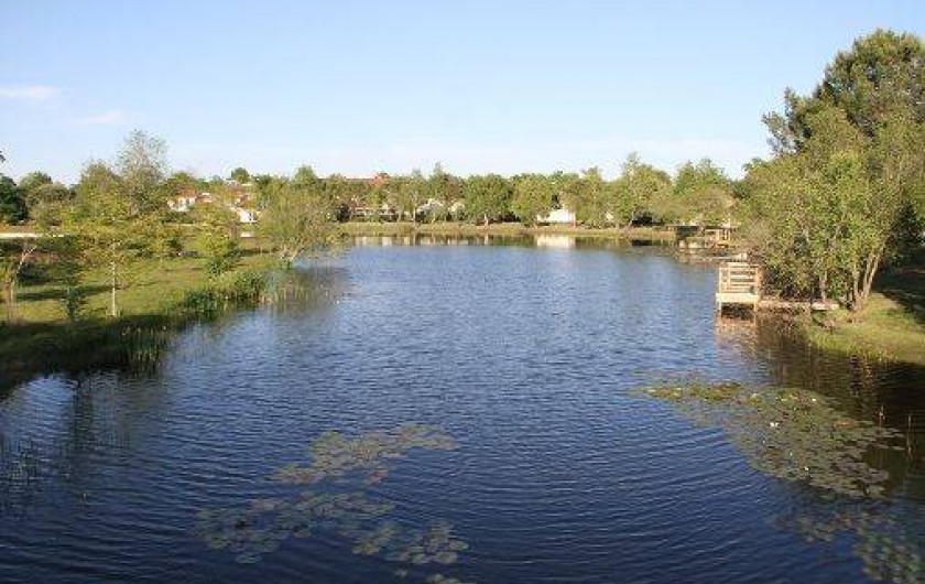 Location de vacances - Bungalow - Mobilhome à Hourtin