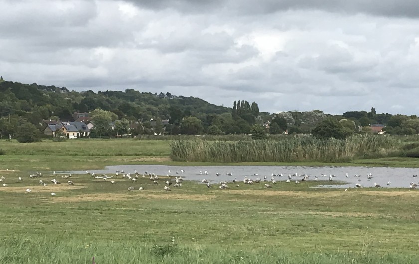 Location de vacances - Villa à Blonville-sur-Mer - Les marais à 200m