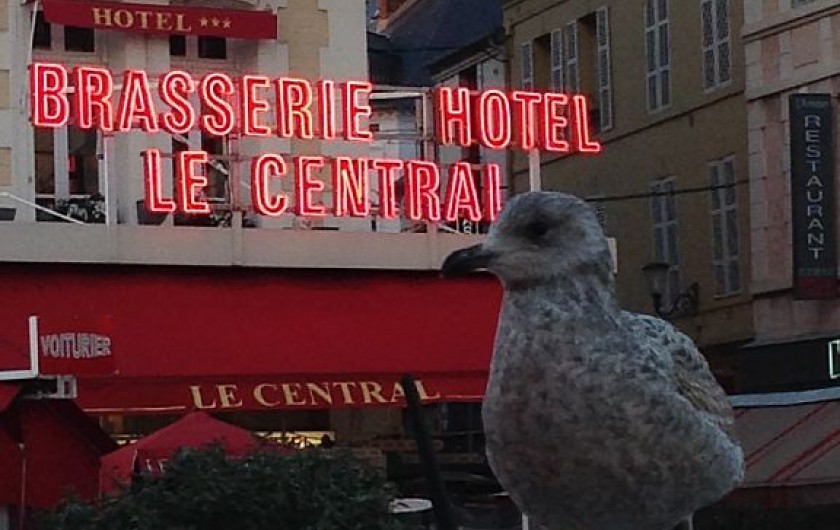 Location de vacances - Villa à Blonville-sur-Mer - Trouville à 5km
