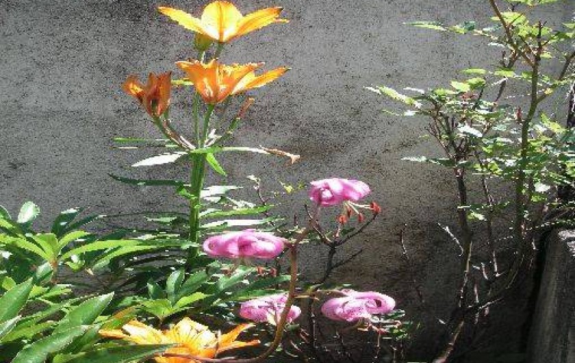 Location de vacances - Gîte à Termignon