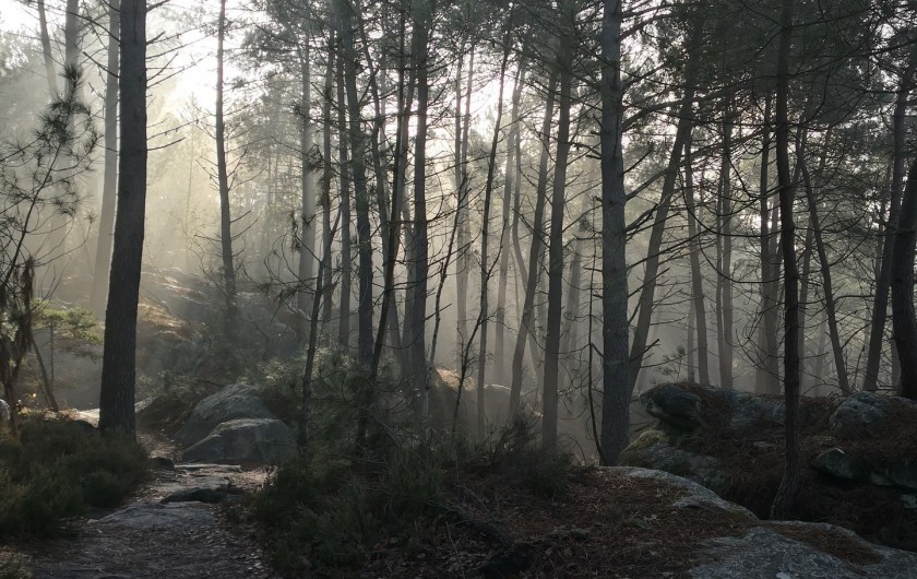 Location de vacances - Appartement à Noisy-sur-École - Levé de soleil hivernal