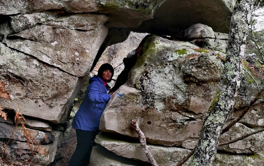 Location de vacances - Appartement à Noisy-sur-École