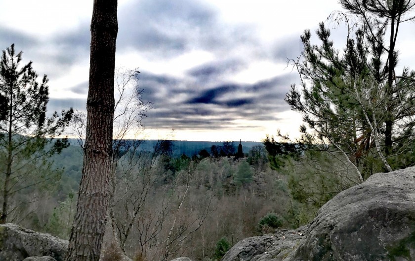 Location de vacances - Appartement à Noisy-sur-École