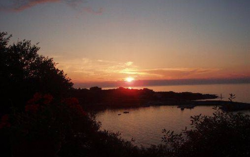 Location de vacances - Studio à Algajola