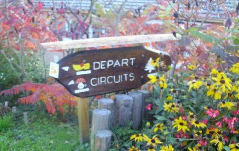 Location de vacances - Gîte à Poule-les-Écharmeaux