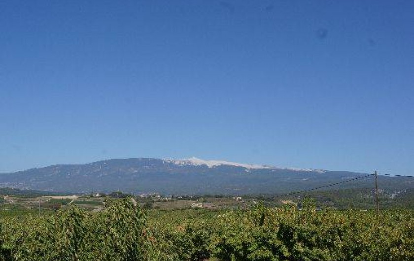 Location de vacances - Maison - Villa à Blauvac