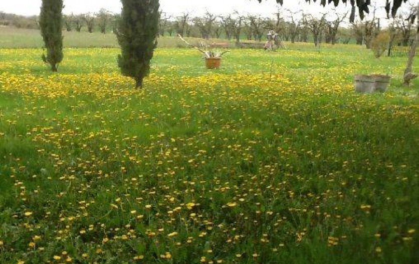Location de vacances - Gîte à Issigeac