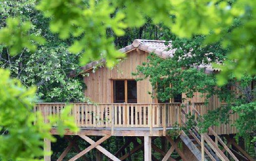 Location de vacances - Cabane dans les arbres à Cabanac-et-Villagrains