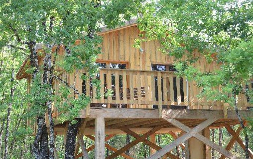 Location de vacances - Cabane dans les arbres à Cabanac-et-Villagrains