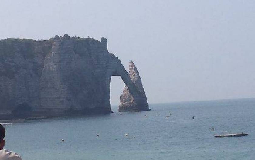 Location de vacances - Gîte à Saint-Sauveur-d'Émalleville - L'aiguille creuse d'Etretat