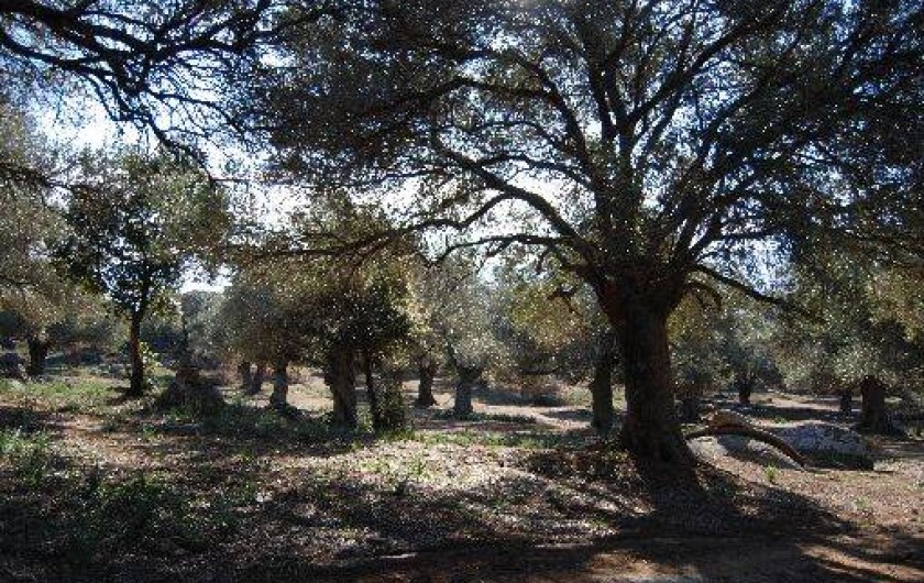 Location de vacances - Maison - Villa à Monticello