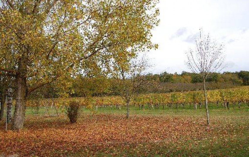 Location de vacances - Maison - Villa à Landerrouet-sur-Ségur