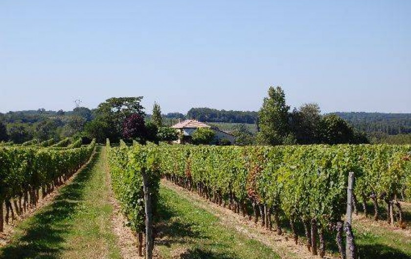 Location de vacances - Maison - Villa à Landerrouet-sur-Ségur