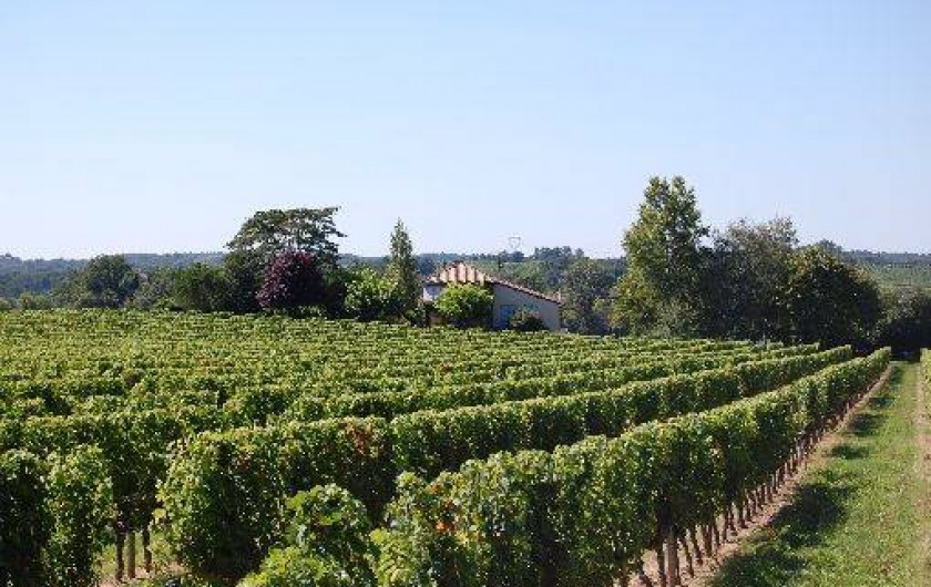 Location de vacances - Maison - Villa à Landerrouet-sur-Ségur