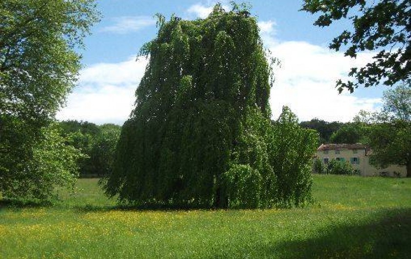 Location de vacances - Gîte à Mirepoix
