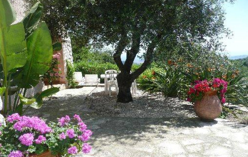 Location de vacances - Studio à Nice