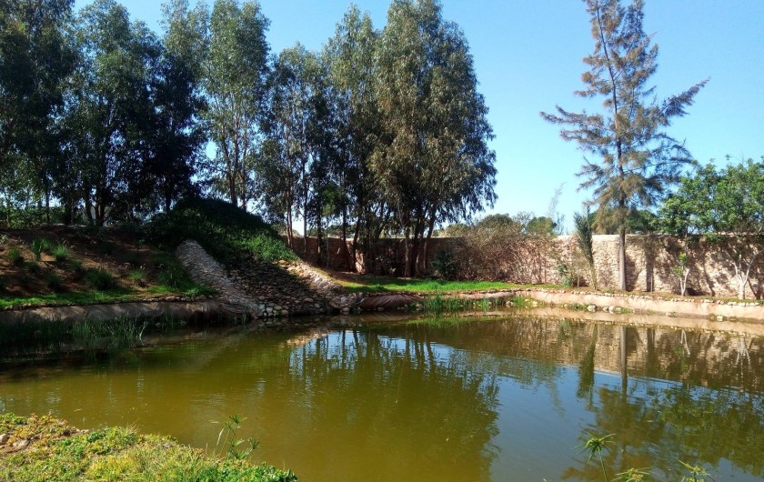 Location de vacances - Villa à Essaouira