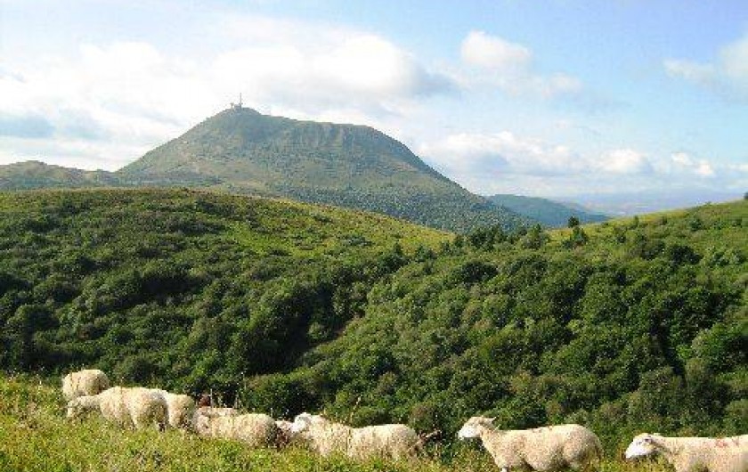 Location de vacances - Maison - Villa à Orcines