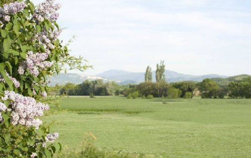 Location de vacances - Mas à La Laupie