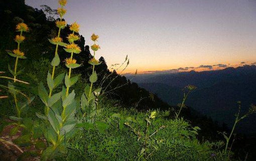 Location de vacances - Chalet à Saint-Hilaire - balade au crépuscul
