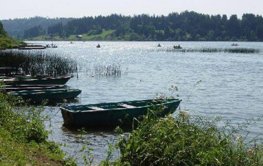 Location de vacances - Gîte à Gellin