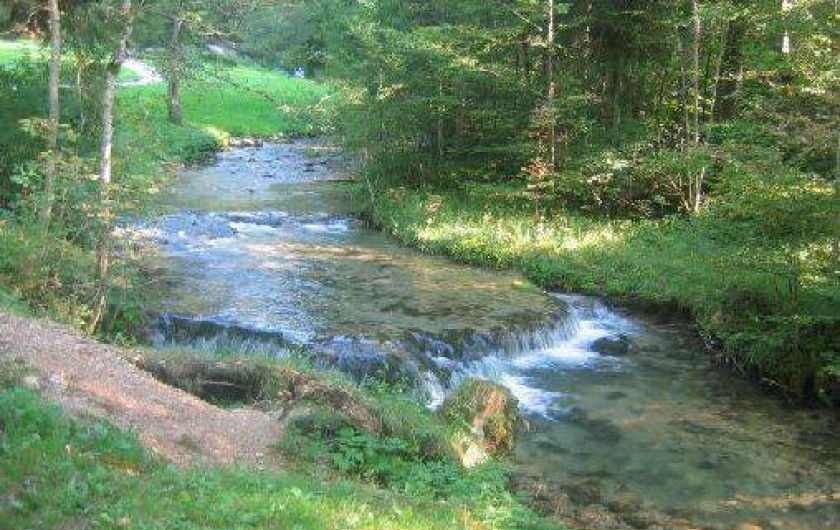 Location de vacances - Gîte à Gellin