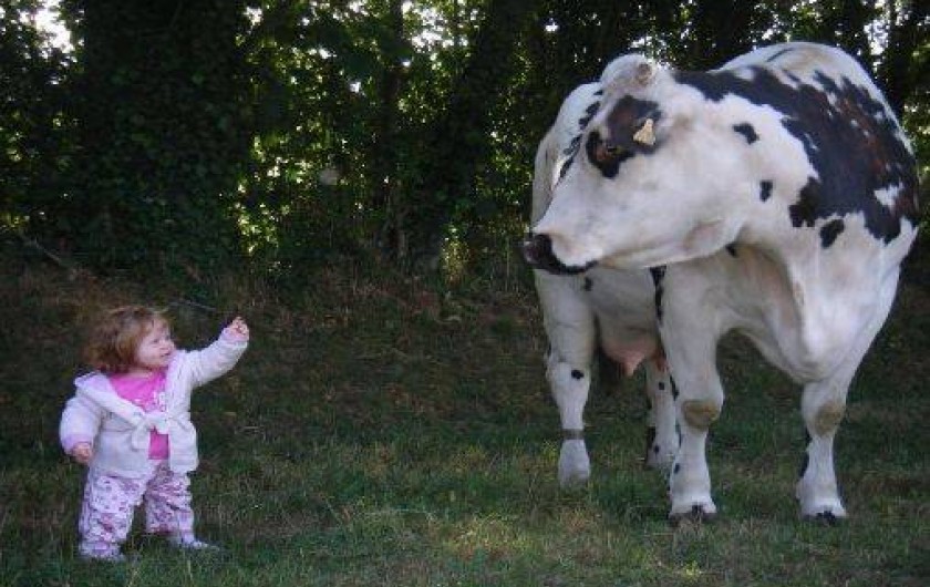 Location de vacances - Gîte à Landelles-et-Coupigny
