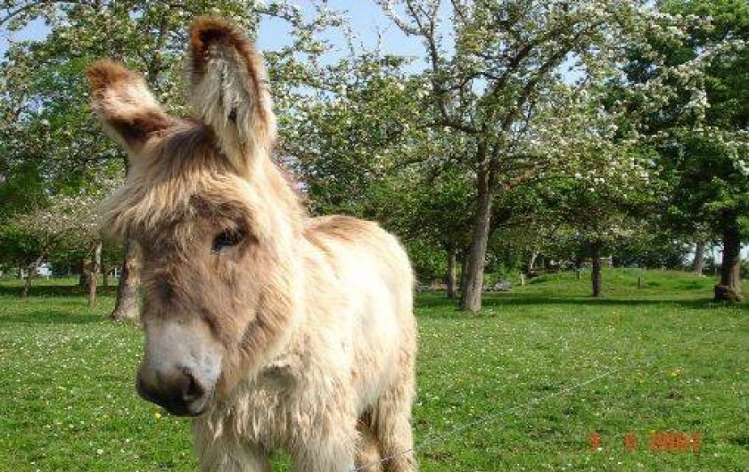 Location de vacances - Gîte à Landelles-et-Coupigny