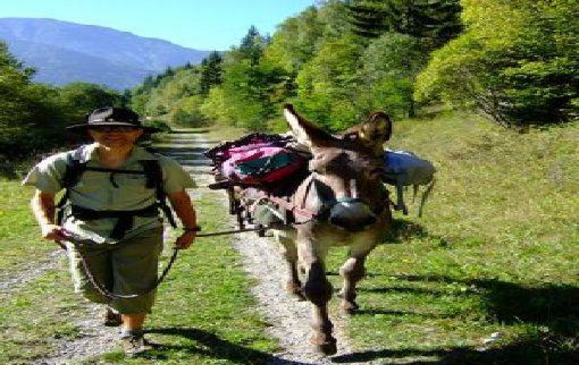 Location de vacances - Yourte à Vif