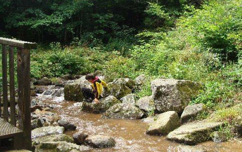 Location de vacances - Tipi à Le Hohwald