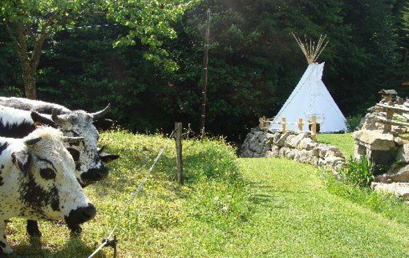 Location de vacances - Tipi à Le Hohwald