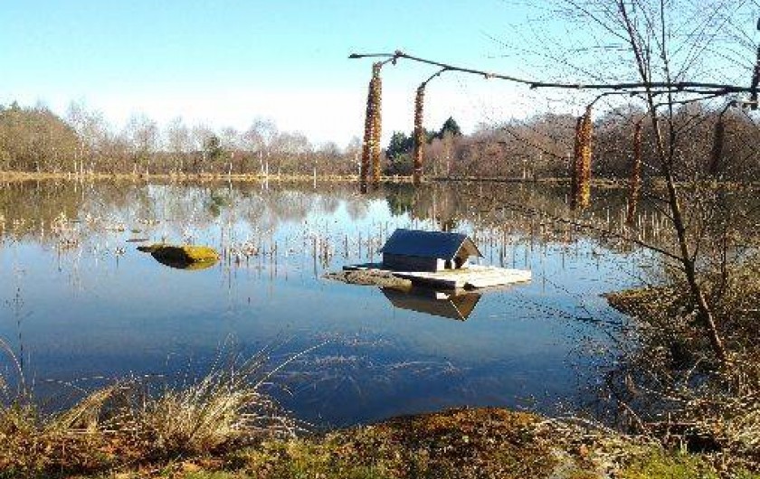 Location de vacances - Chambre d'hôtes à Saint-Agnan