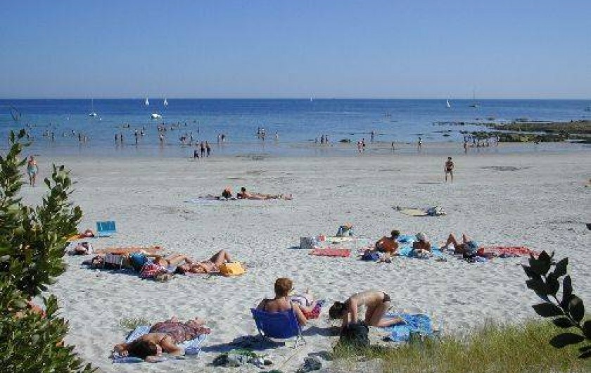 Location de vacances - Chambre d'hôtes à Loctudy