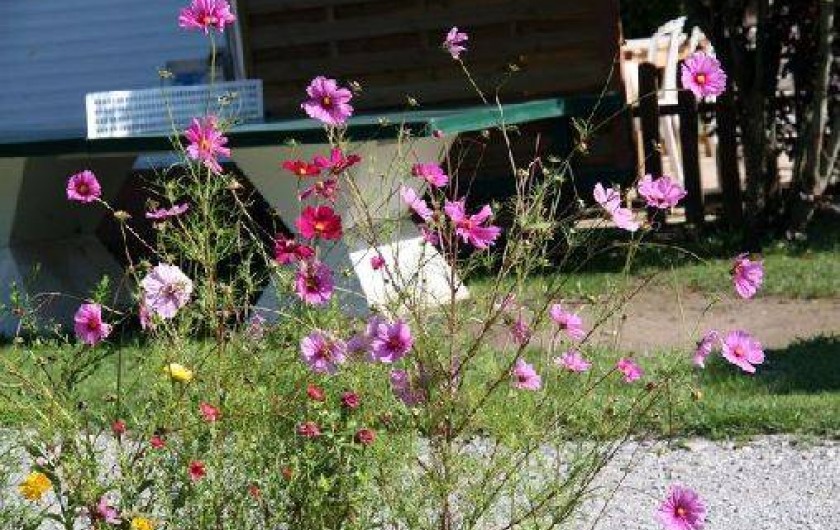 Location de vacances - Camping à Sciez