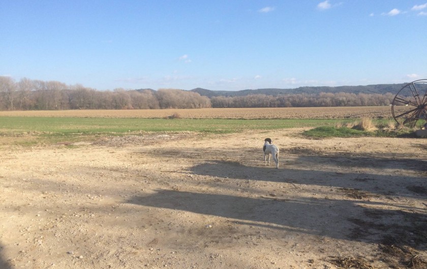Location de vacances - Appartement à Manosque - Environnement campagne, sans nuisance.