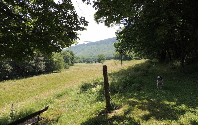 Location de vacances - Mas à Courniou - Devant la maison, les champs