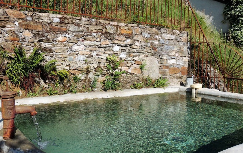 Location de vacances - Mas à Courniou - Le bassin de baignade